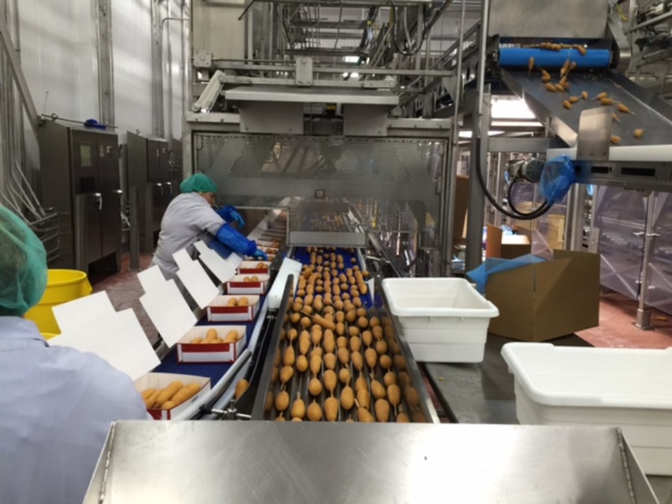 corn dogs being packaged on the production line